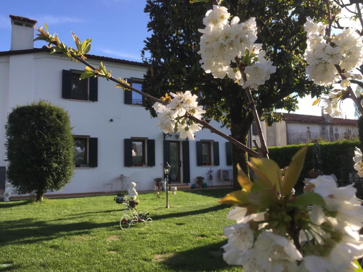 Dimora Naviglio Bed & Breakfast Dolo Dış mekan fotoğraf